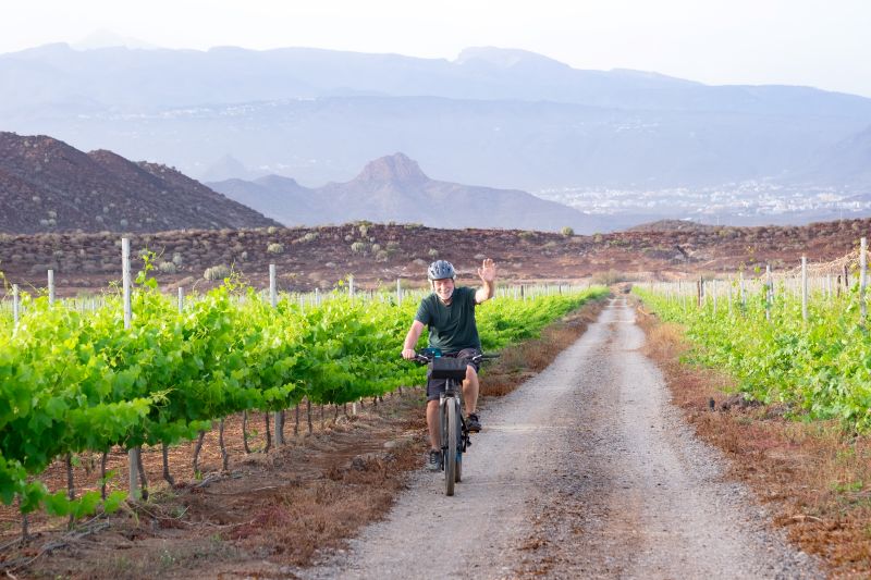 Wine & Cycling Tour